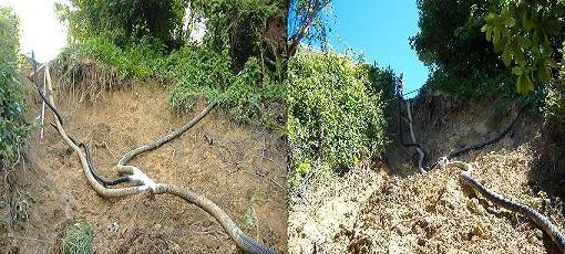 Normandale Slip Retaining