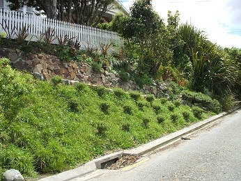 Karori Parking Area